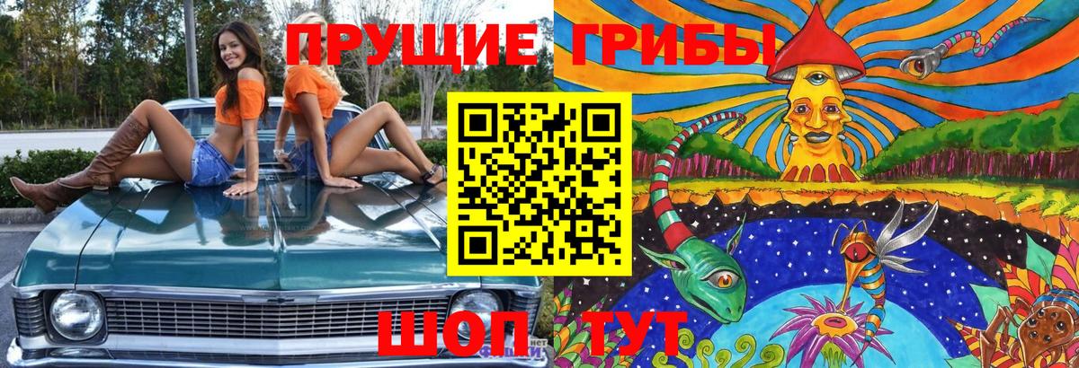 Орёл  Галлюциногенные грибы мухоморы  купить закладку  Вход с VPN  Галлюциногенные грибы Magic Shrooms 