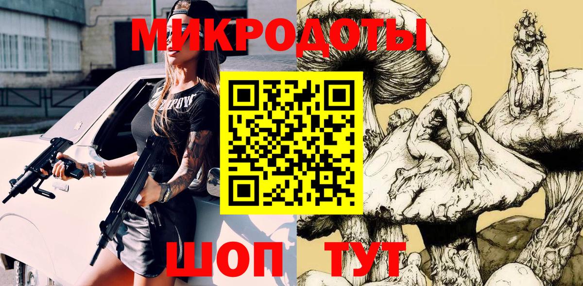 Псилоцибиновые грибы Psilocybe Орёл